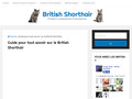 Britishorthair.com