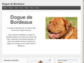 Tout savoir sur les dogues de Bordeaux